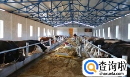 畜牧养殖对环境有哪些影响