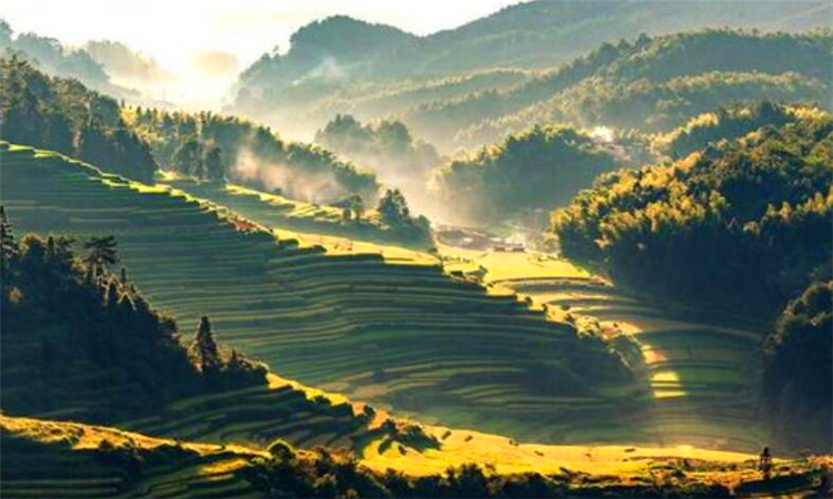 闽是哪里的简称