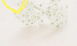 手机如何伪装地理位置