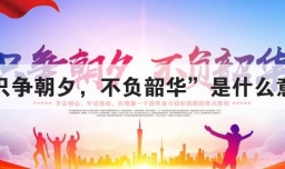 只争朝夕 不负韶华是什么意思