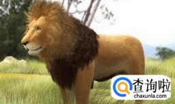 如何举报非法运输出售野生动物的犯罪者