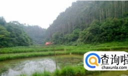 田螺人工养殖技术