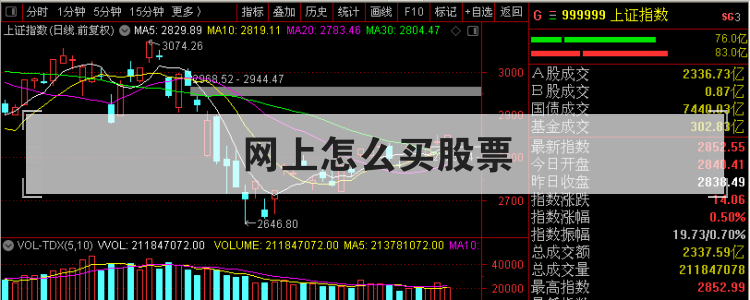 网上怎么买股票