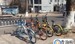 哈罗单车发展情况如何