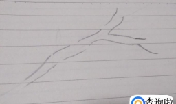 怎么手绘梅花简笔画