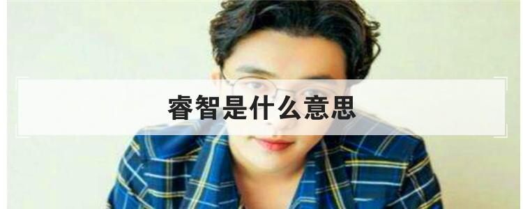 睿智是什么意思