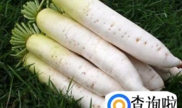 酸萝卜做法，酸萝卜怎么做好吃
