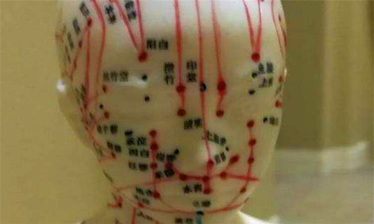 人有多少个穴位