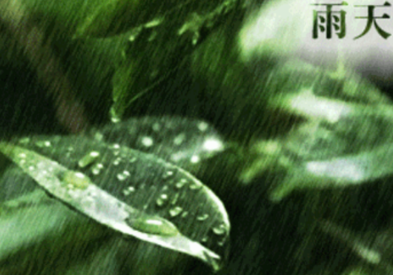 雨的好处和坏处