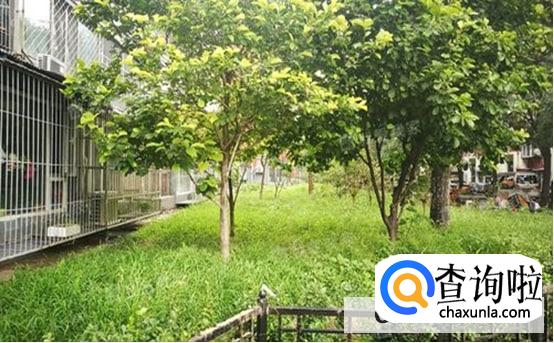 绿化率多少比较好