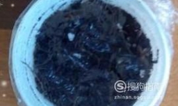 三色堇的种植方法