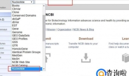 怎样使用NCBI搜索并下载基因序列