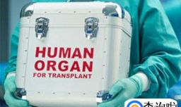 器官捐献者需要具备怎样的基本条件？