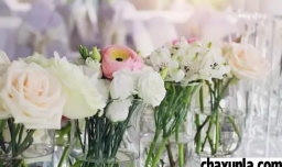 鲜花保养的方式