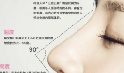 隆鼻子多少钱？