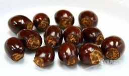 如何种植荔枝树