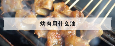 烤肉用什么油