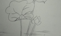 小学生莲花的画法
