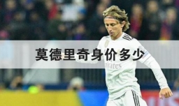 莫德里奇身价多少