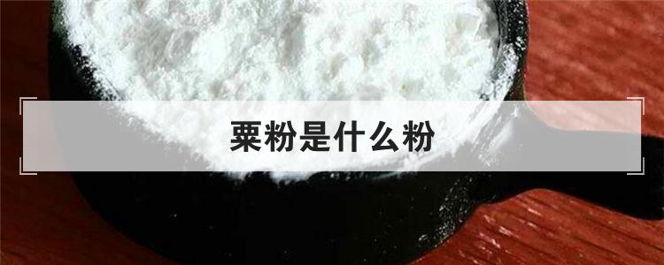 粟粉是什么粉