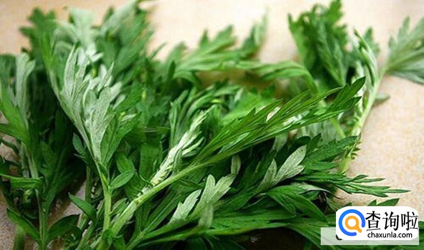 艾草芽的食用方法是怎么样的