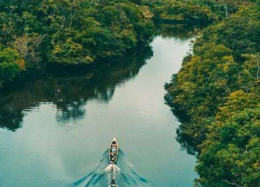 世界上最大的平原在哪个洲