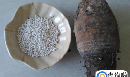 芋头西米露的做法