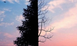 关于人生的好词好句