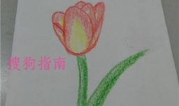 彩铅花卉手绘图片教程