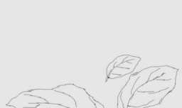 简笔画报花名：手绘铅笔画“白杜鹃花”画法