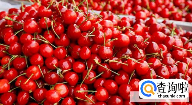 野生小樱桃该如何吃