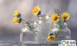 我怎么潇洒怎么活合适吗?