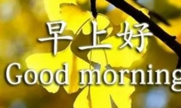 2023早安心语有哪些？