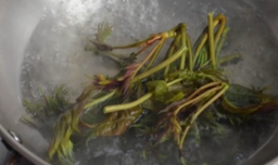 香椿为什么要焯水？