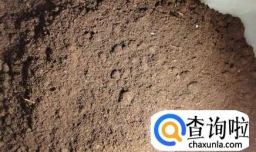 怎样简单制作多肉植物营养土