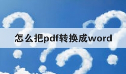 怎么把pdf转换成word