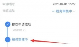 个人所得税退税为什么一直在税务审核中