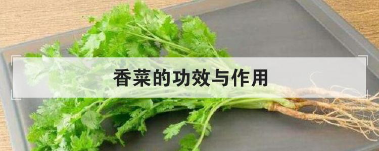 香菜的功效与作用br
