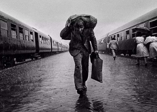 颠沛流离什么意思