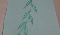 简笔画柳树叶的画法