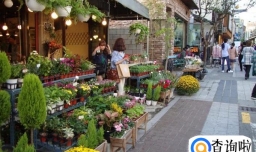 怎样开好一个花店