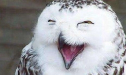 忍俊不禁是什么意思