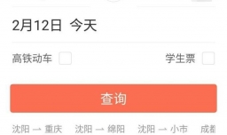 12306上如何自动抢票