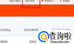 怎么看在淘宝花了多少钱