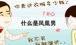 什么是凤凰男