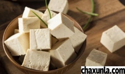 减肥能不能吃豆腐