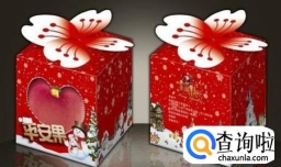 圣诞节送什么礼物好，圣诞节送朋友（同学）什么礼物好？