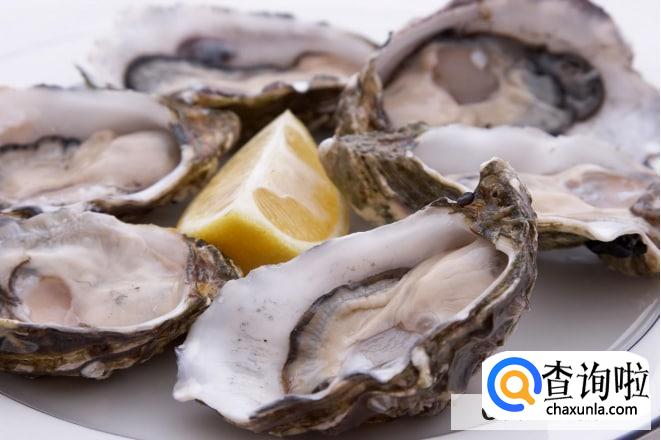 吃生蚝可以补肾吗