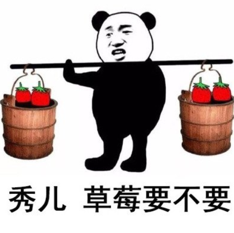 秀儿什么意思