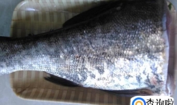 韭菜鱼饼的做法